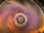 Grotta Sonora Deep Gong 38" / 95cm "Apricot Magic"