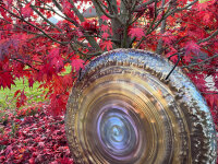 Grotta Sonora Nickel Silver Gong 32" / 80cm "Rainbow Star“