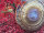 Grotta Sonora Nickel Silver Gong 32" / 80cm "Rainbow Star“