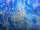 Grotta Sonora Titan Gong 39"/100cm "Blue Planet"