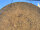 GongZeit Rock Gong 34"/85 cm