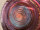 Grotta Sonora Hand Gong 19" / 48cm "Purple Star"