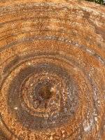 Grotta Sonora Rusty Giant Gong 60" / 150cm "woody"