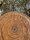 Grotta Sonora Rusty Giant Gong 60" / 150cm "woody"