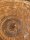 Grotta Sonora Rusty Giant Gong 60" / 150cm "woody"