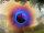Grotta Sonora Deep Gong 38" / 95cm "Golden Eye"