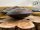 Harmonic Drum Resonant 17